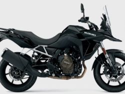 DL 800 V-STROM