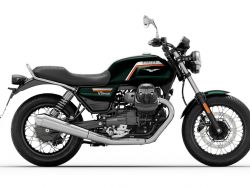 V 7 SPECIAL