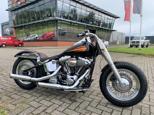 Hd softail fatboy sale