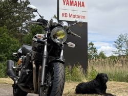 XJR 1300