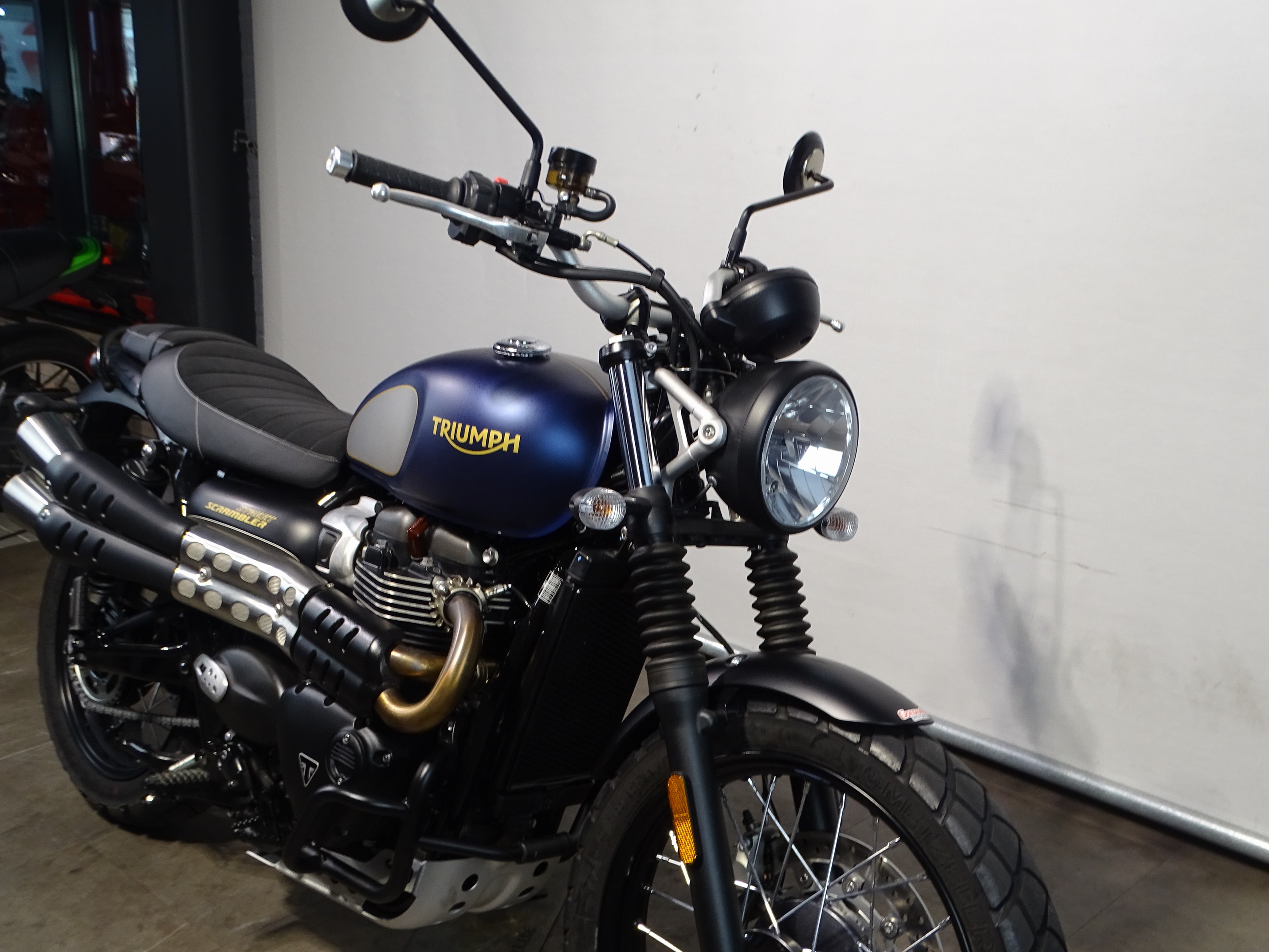 TRIUMPH STREET SCRAMBLER GOLD LINE