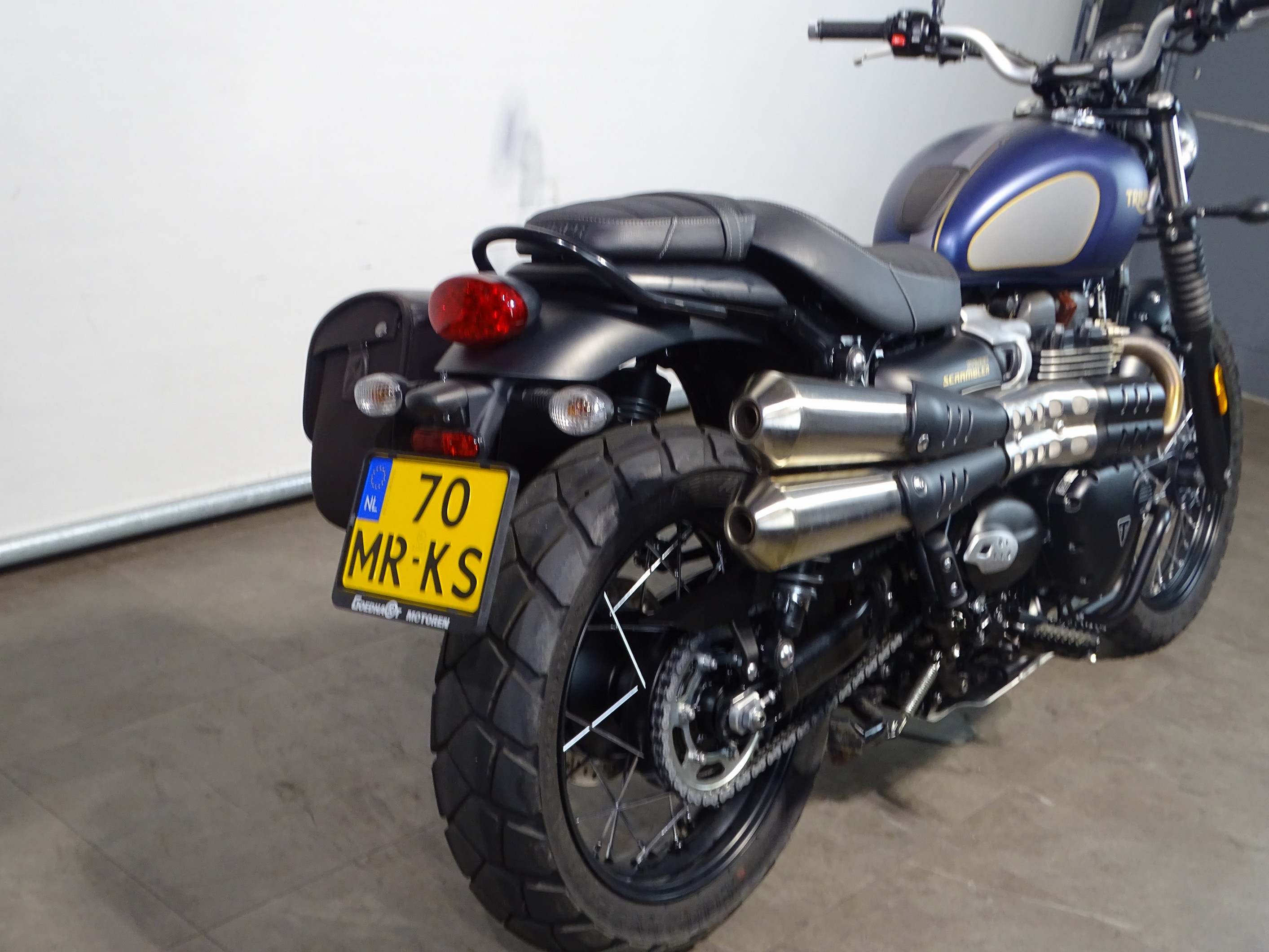 TRIUMPH STREET SCRAMBLER GOLD LINE