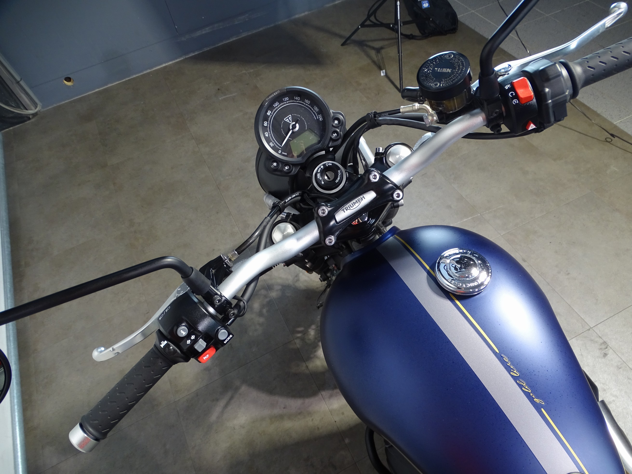 TRIUMPH STREET SCRAMBLER GOLD LINE