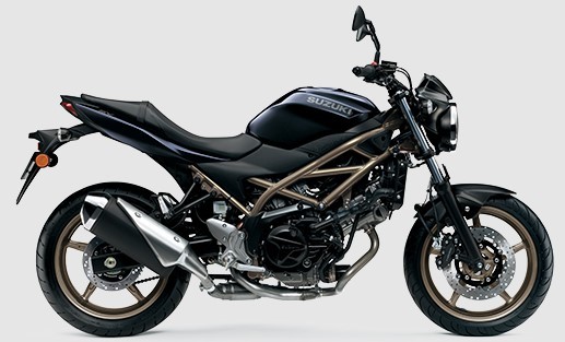 SUZUKI - SV 650
