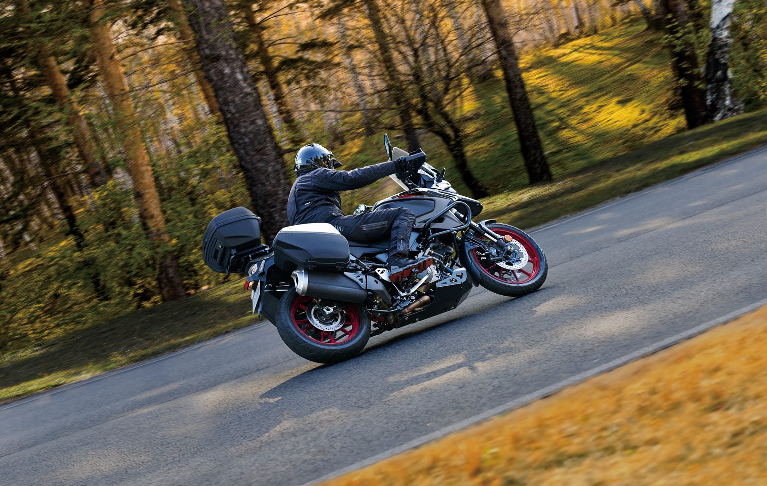 SUZUKI DL 1050 V-STROM
