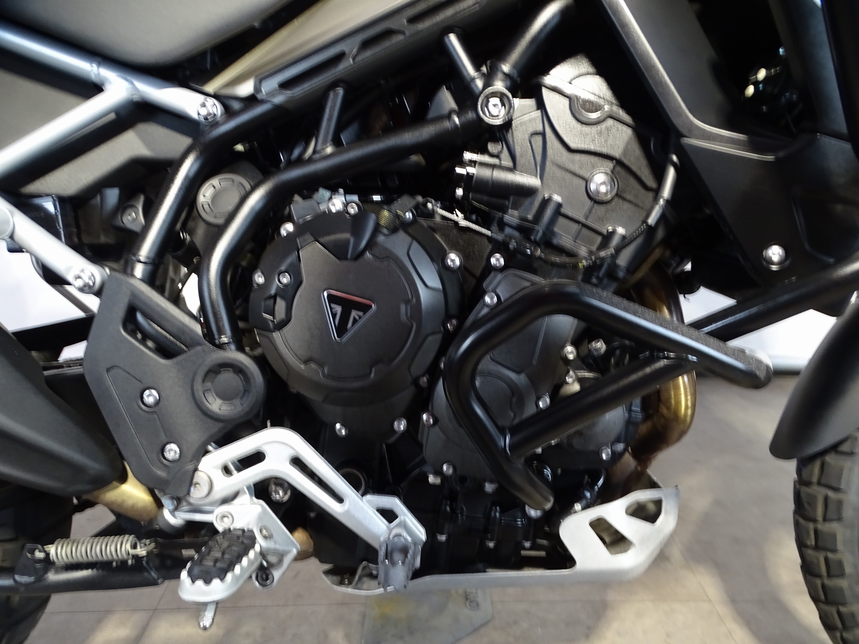TRIUMPH TIGER 900 RALLY PRO