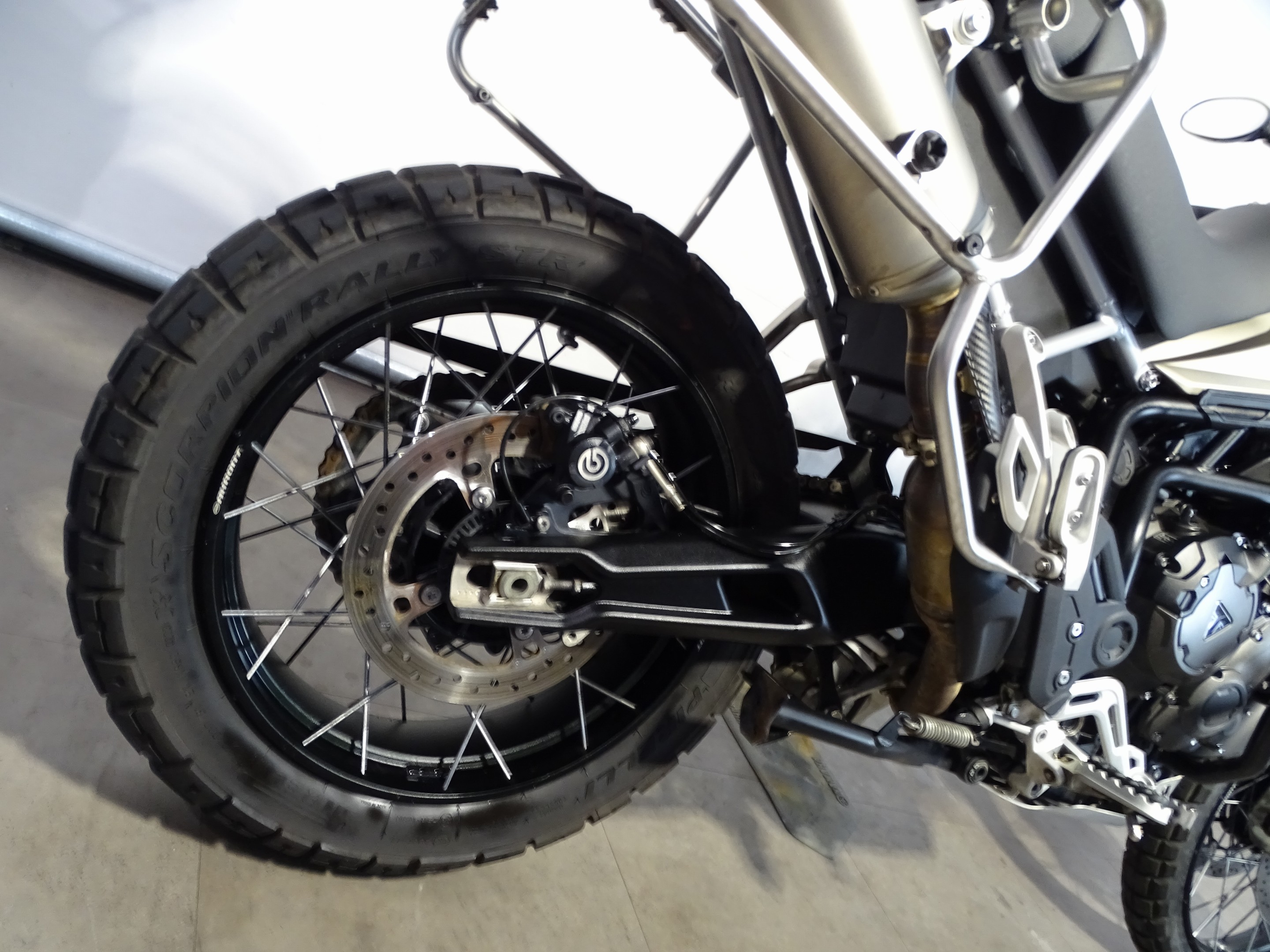 TRIUMPH TIGER 900 RALLY PRO