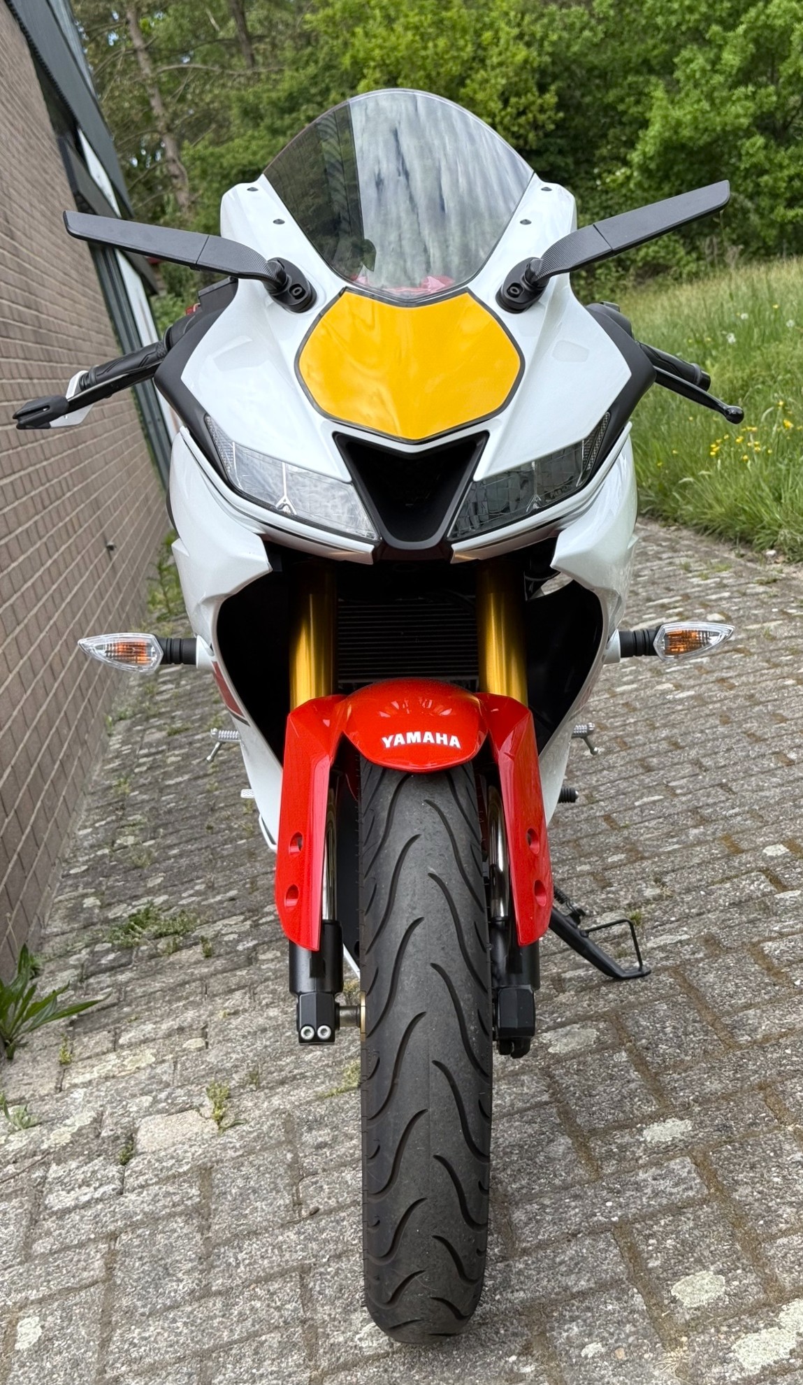 YAMAHA YZF R125 Anniversary