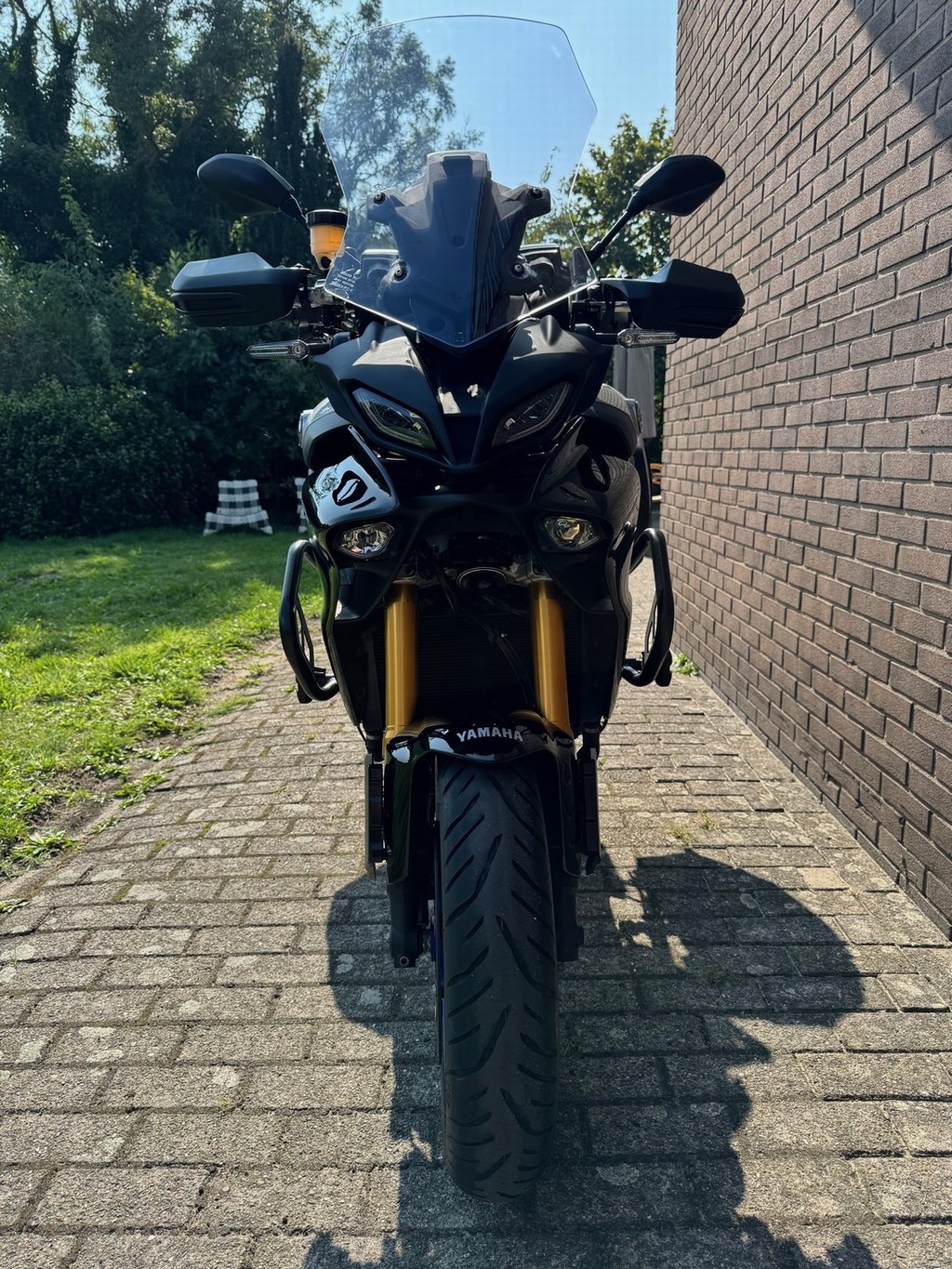 TRIUMPH Tiger 900 Rally Pro Aragon