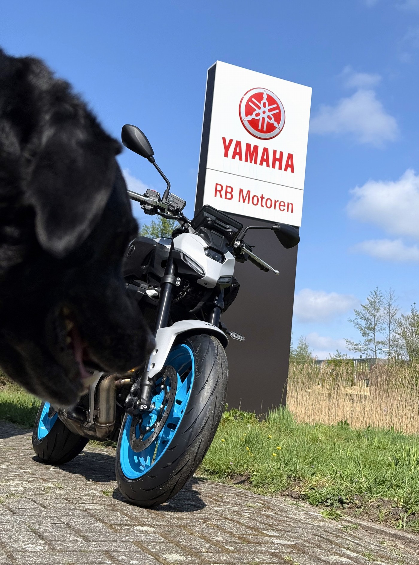 YAMAHA MT 07 Yamaha MT07 2025