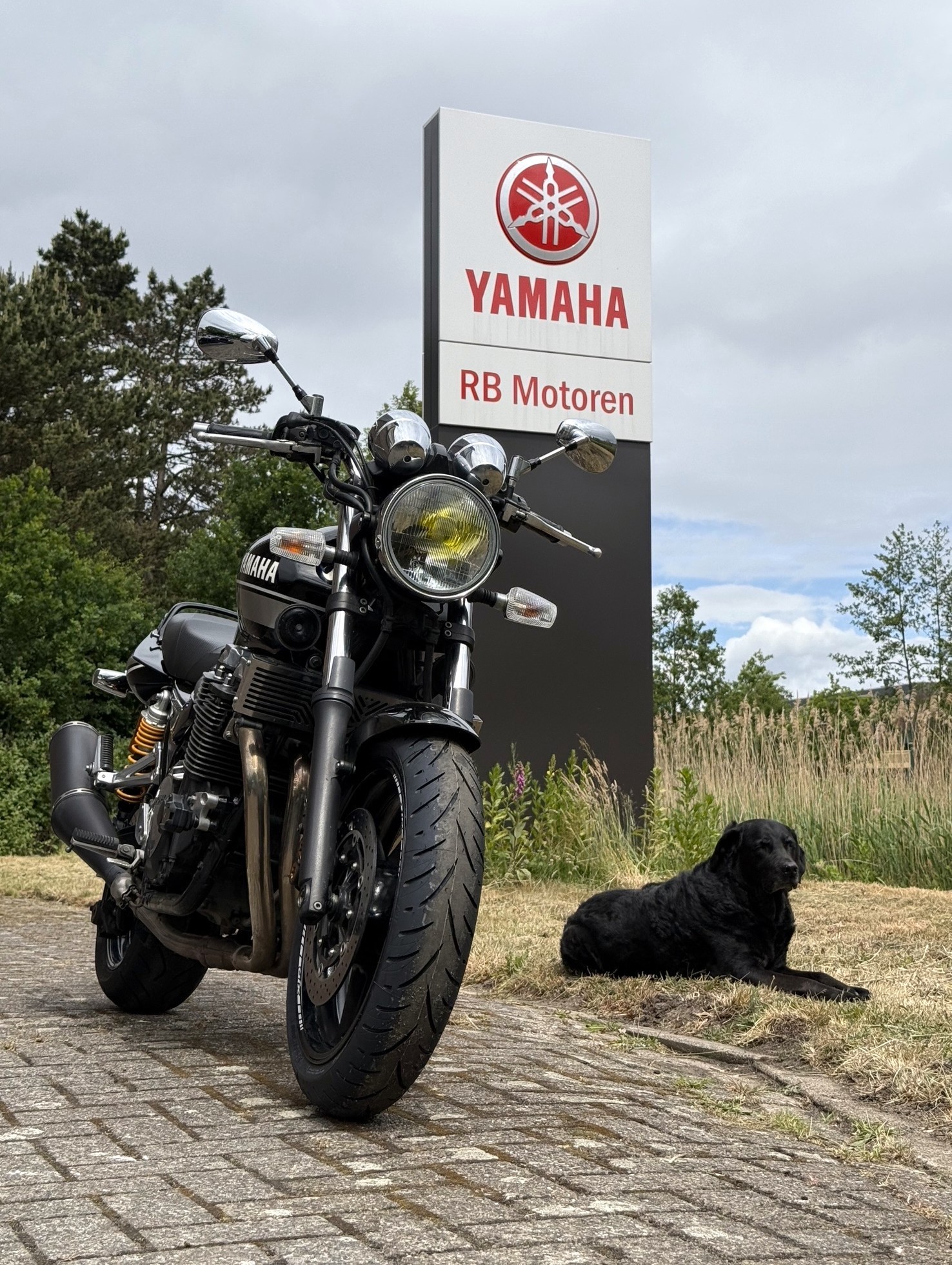 YAMAHA XJR 1300