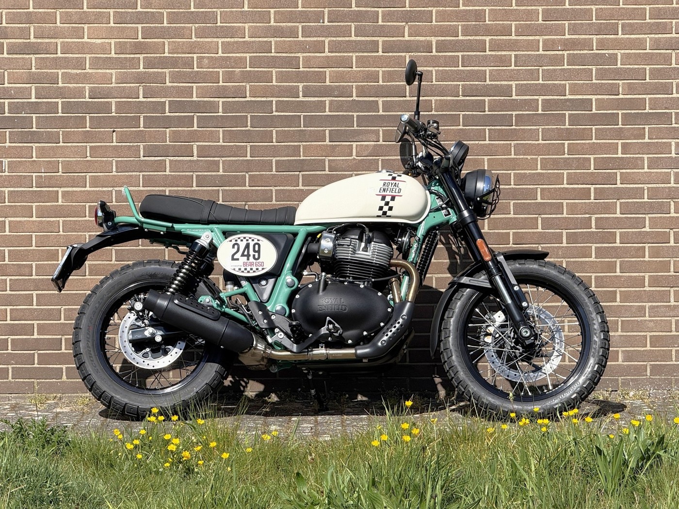 ROYAL-ENFIELD Bear 650
