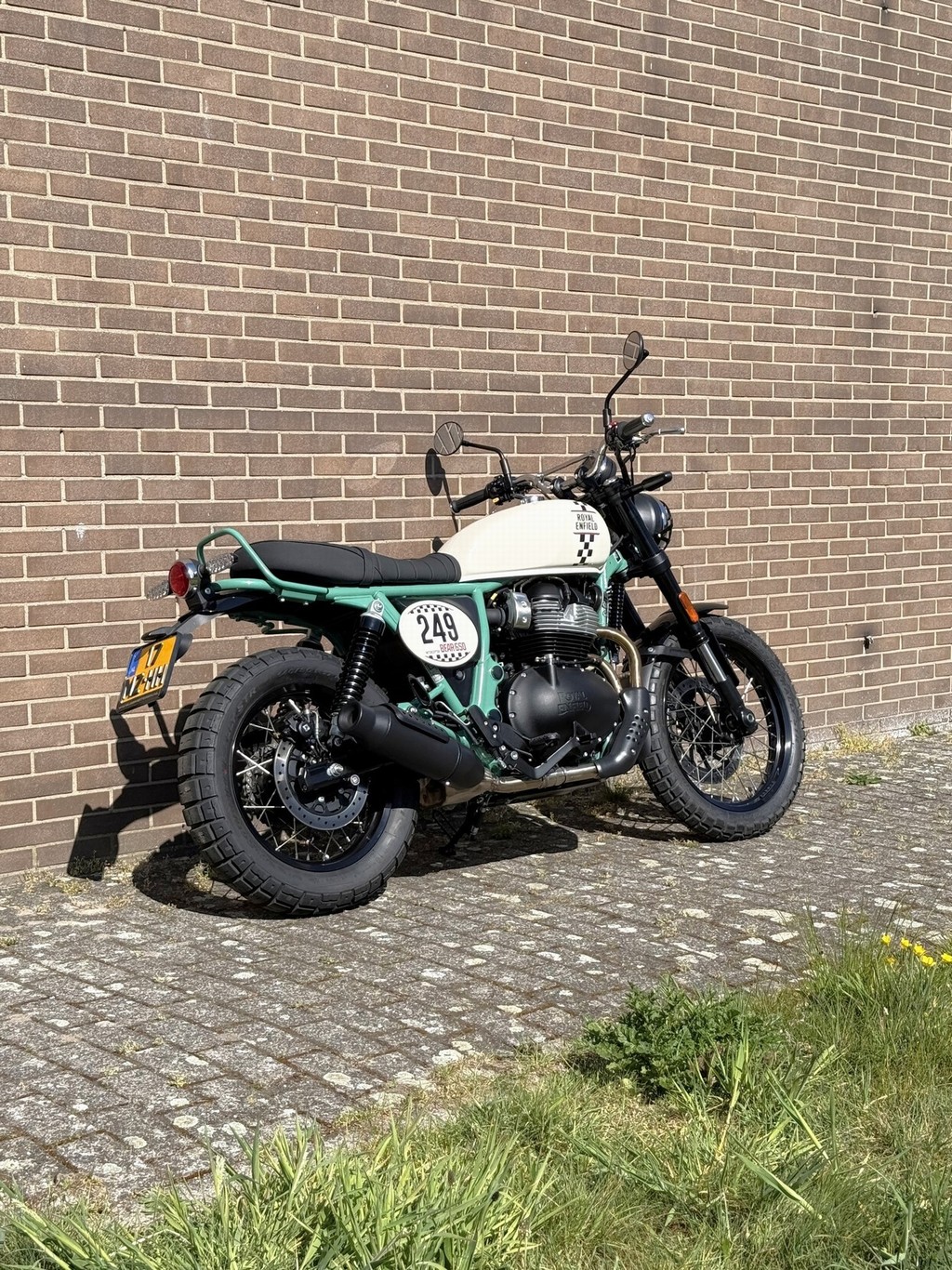 ROYAL-ENFIELD Bear 650