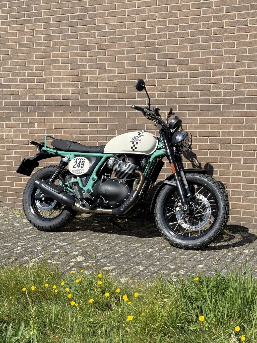 ROYAL-ENFIELD Bear 650