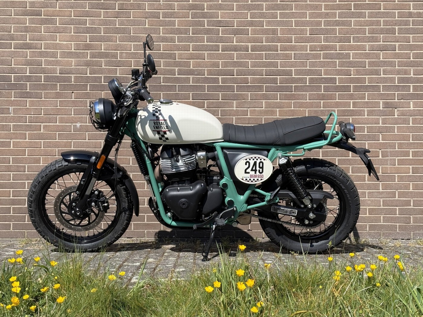 ROYAL-ENFIELD Bear 650