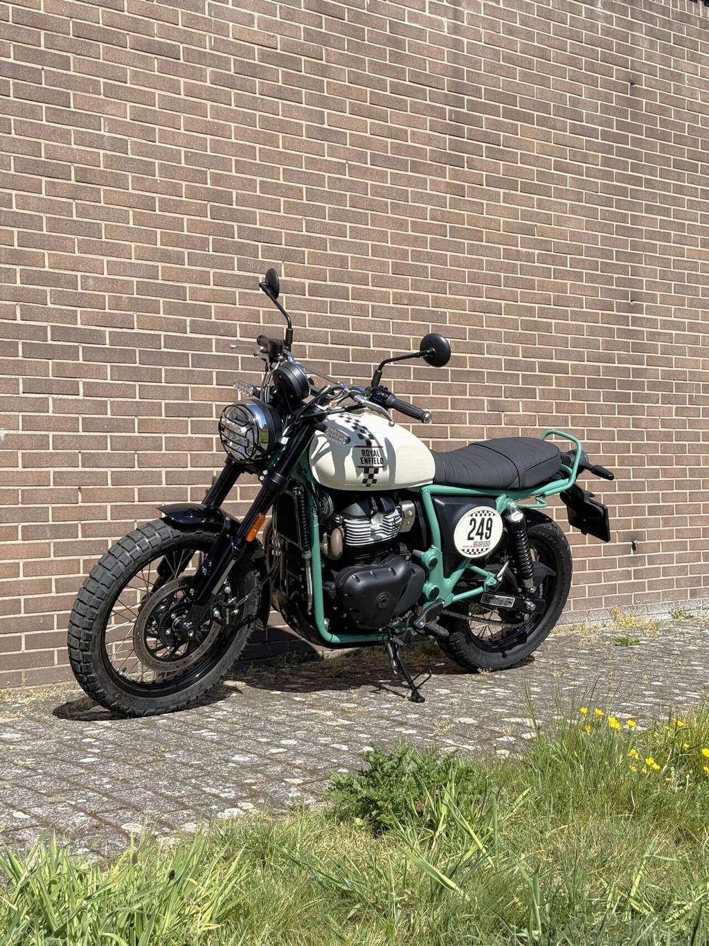 ROYAL-ENFIELD Bear 650