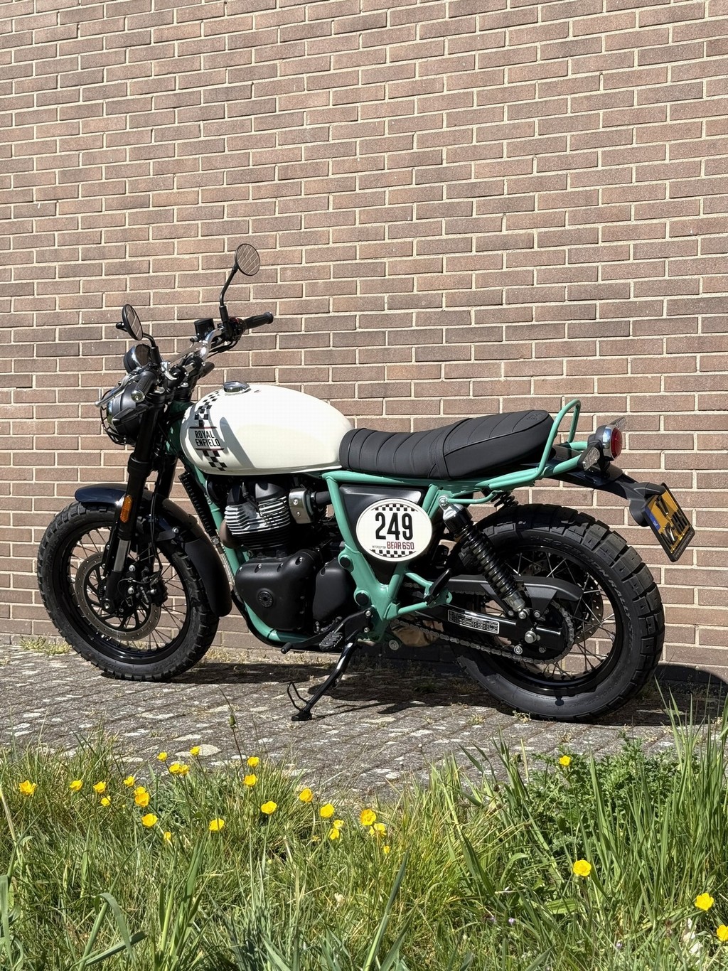 ROYAL-ENFIELD Bear 650