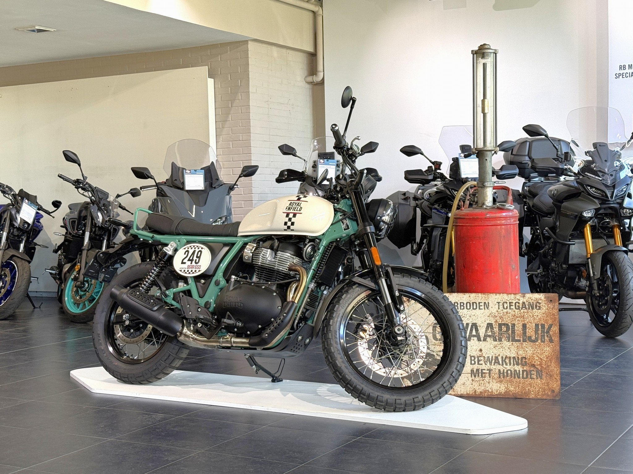 ROYAL-ENFIELD Bear 650