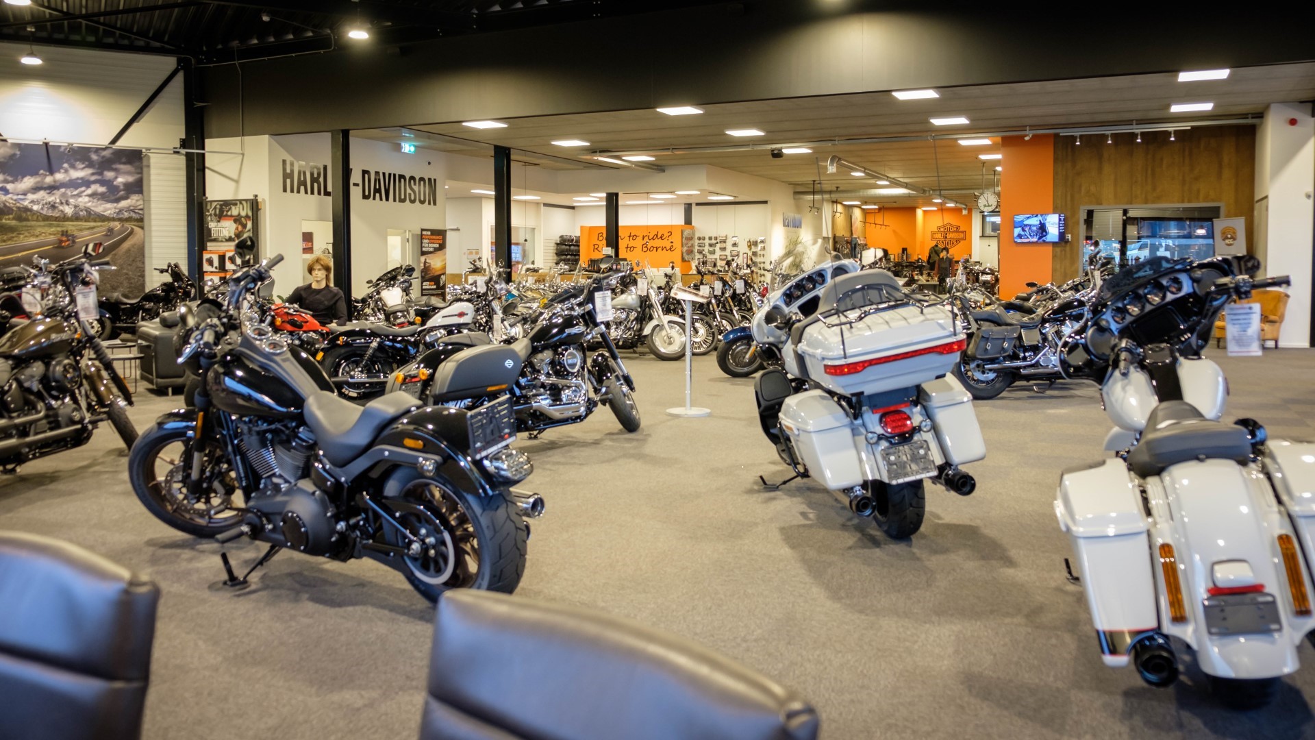 HARLEY-DAVIDSON - FL 1200 Duo Glide Panhead