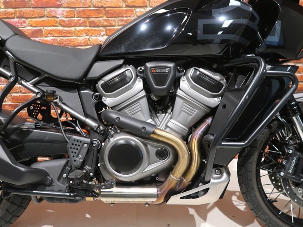 HARLEY-DAVIDSON - RA1250S Pan America special BT