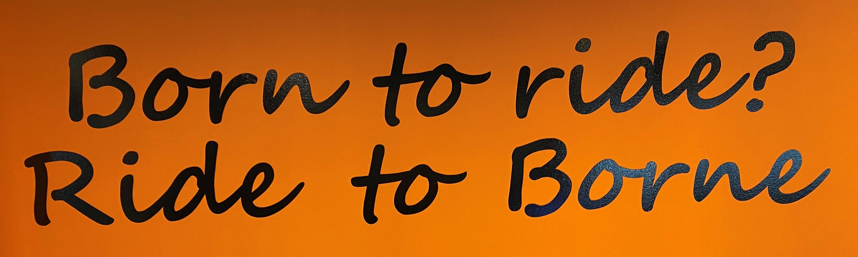 HARLEY-DAVIDSON - FXLRS Low Rider S 117