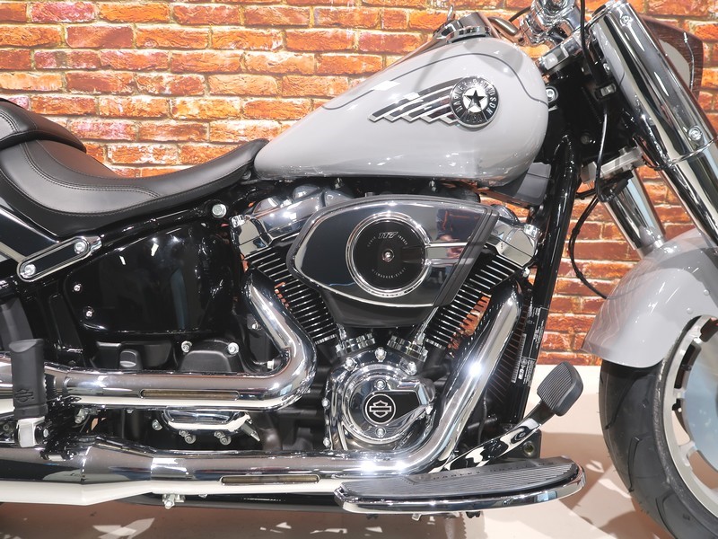 HARLEY-DAVIDSON - FLFB Fat Boy 117