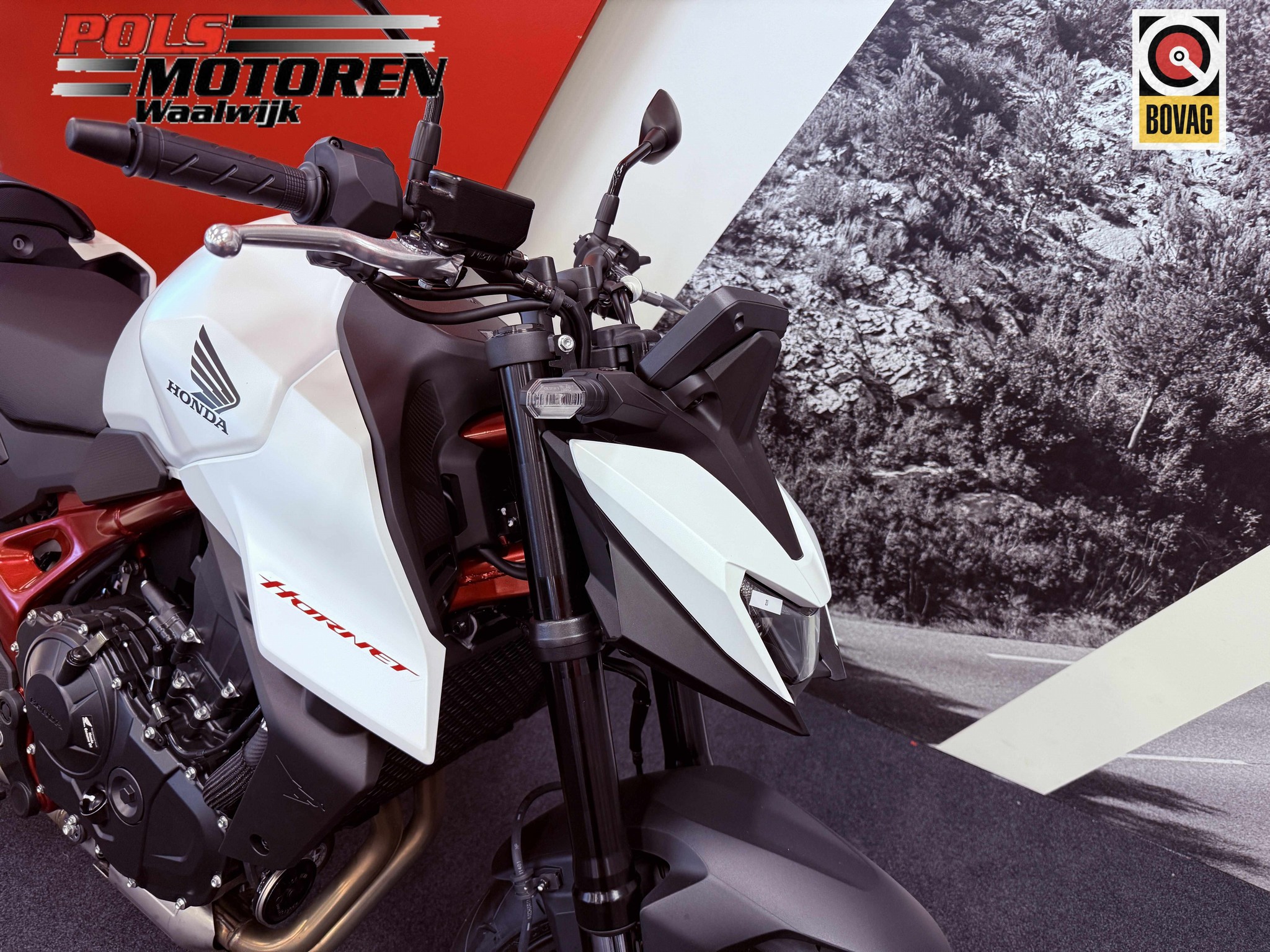 HONDA - CB 750 AS Hornet
