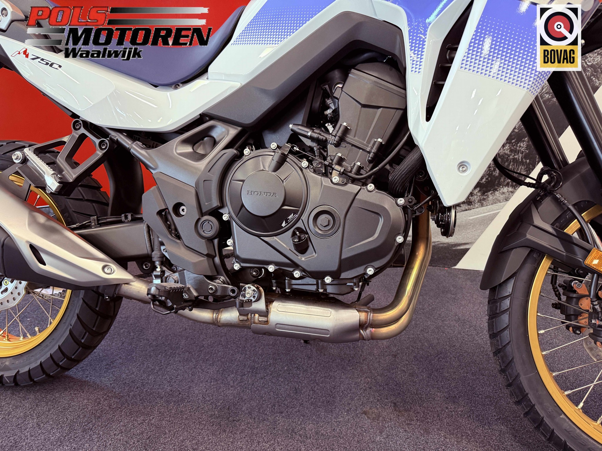 HONDA XL 750 S TransAlp Ross White