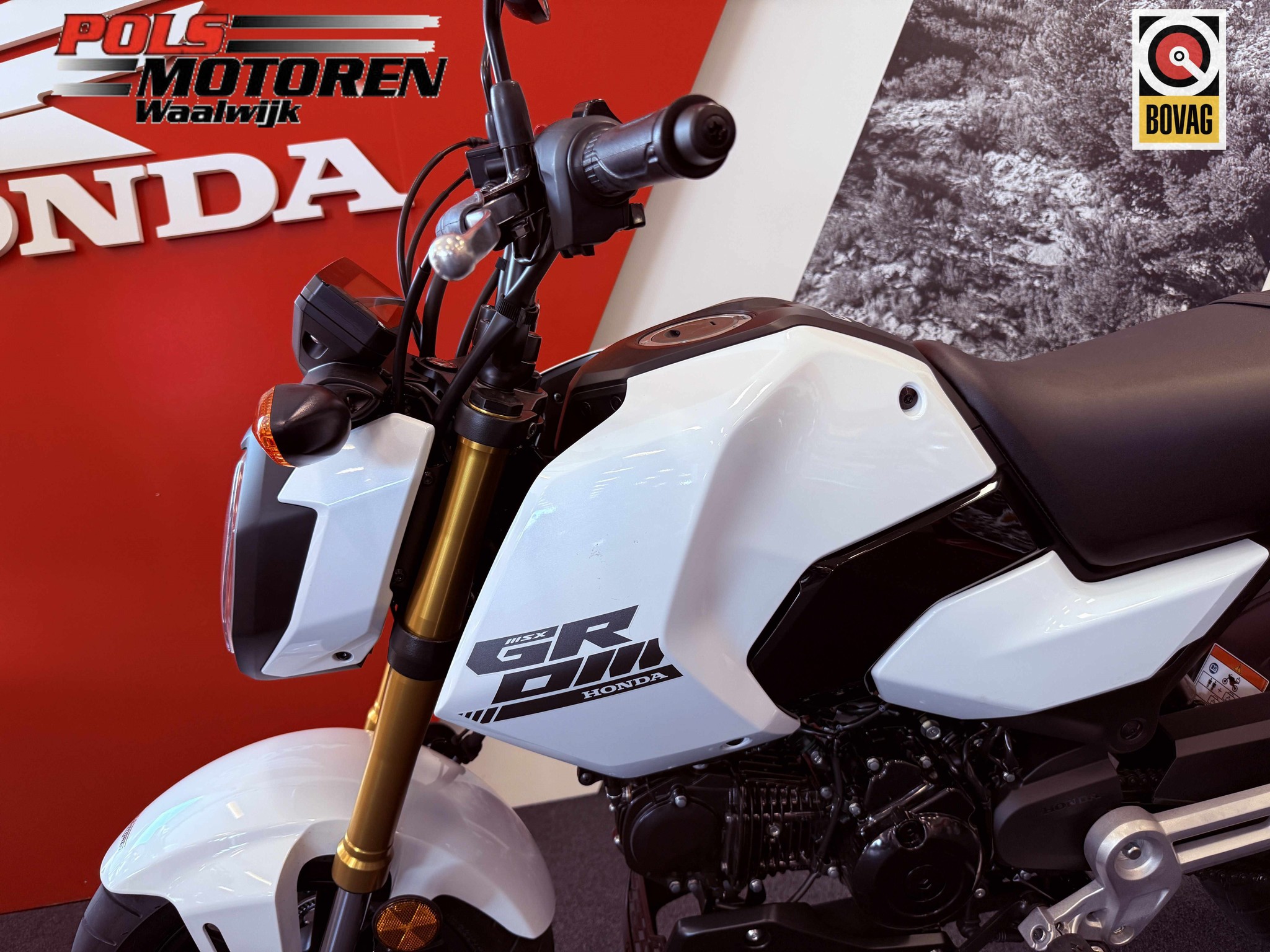 HONDA MSX 125 AR Grom