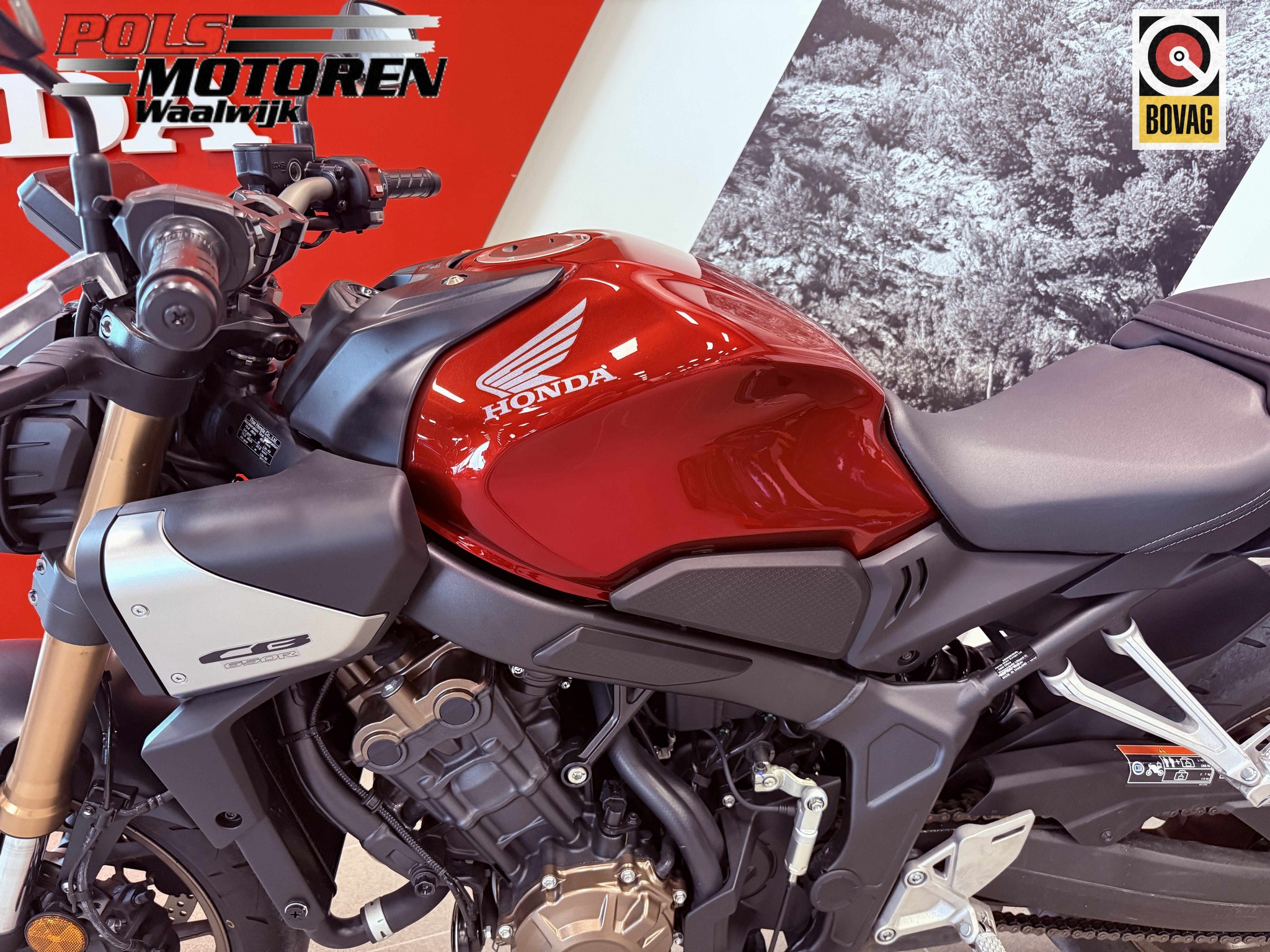 HONDA CB 650 RACR E-Clutch