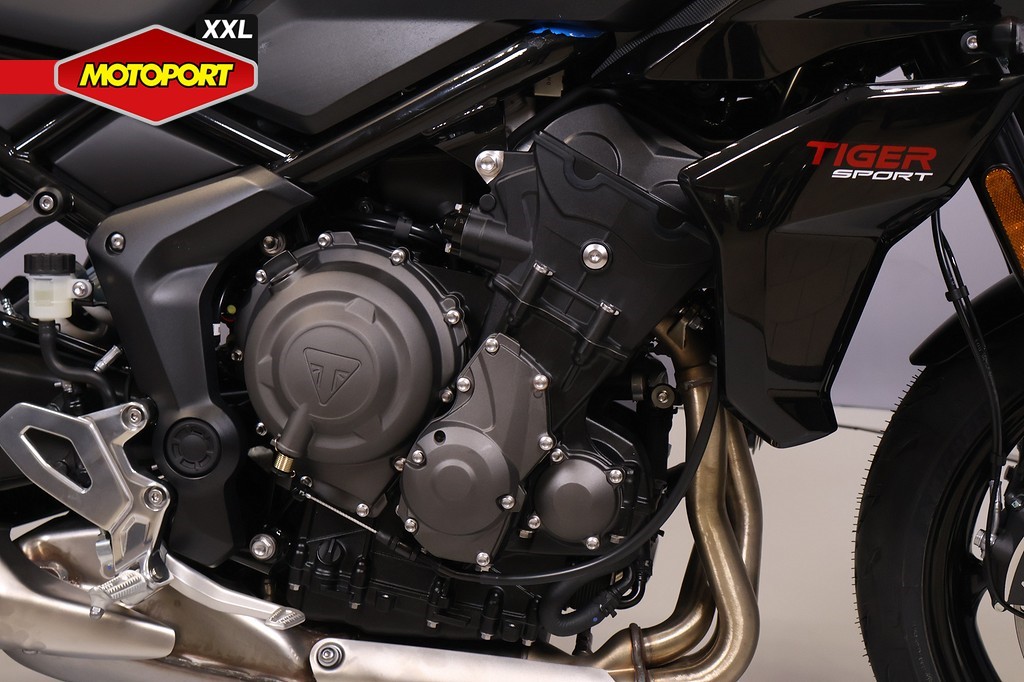 TRIUMPH - TIGER SPORT 660