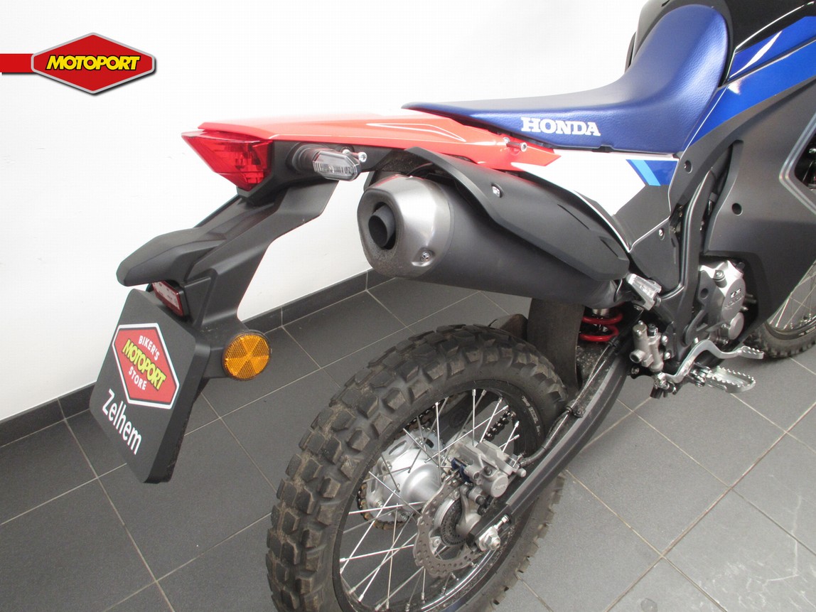 HONDA - CRF 300 RALLY