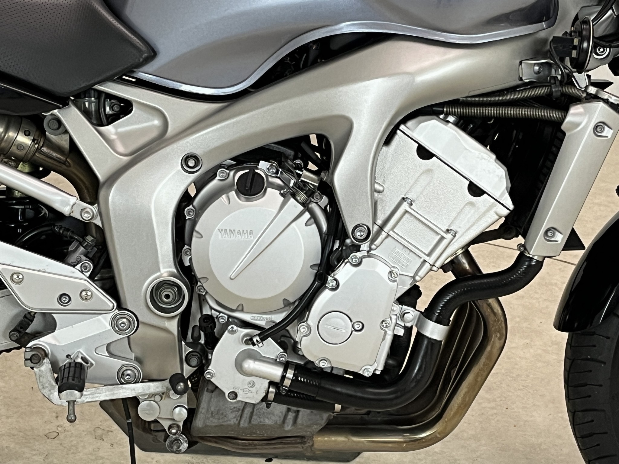 YAMAHA - FZ6 N