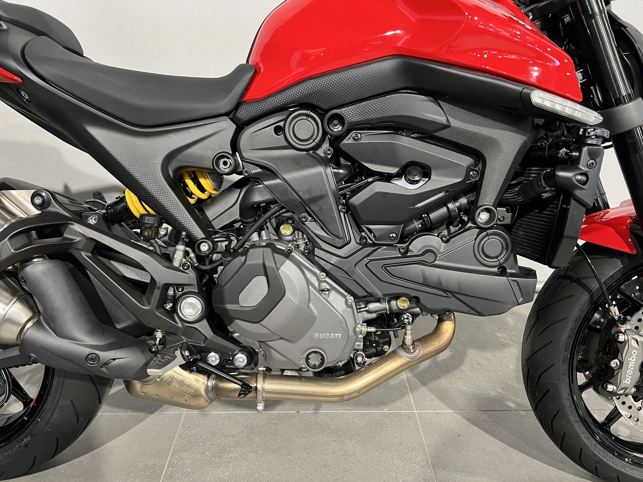 DUCATI - MONSTER