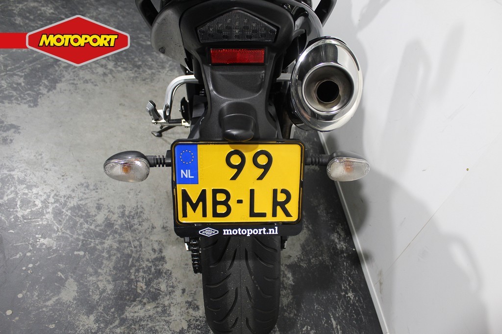 TRIUMPH - TIGER 1050 .