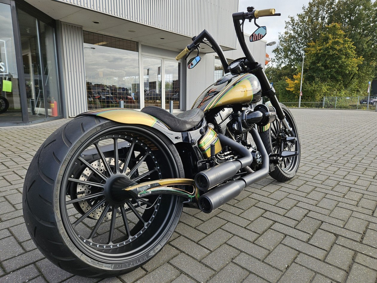 HARLEY-DAVIDSON - FXSBSE Break Out CVO