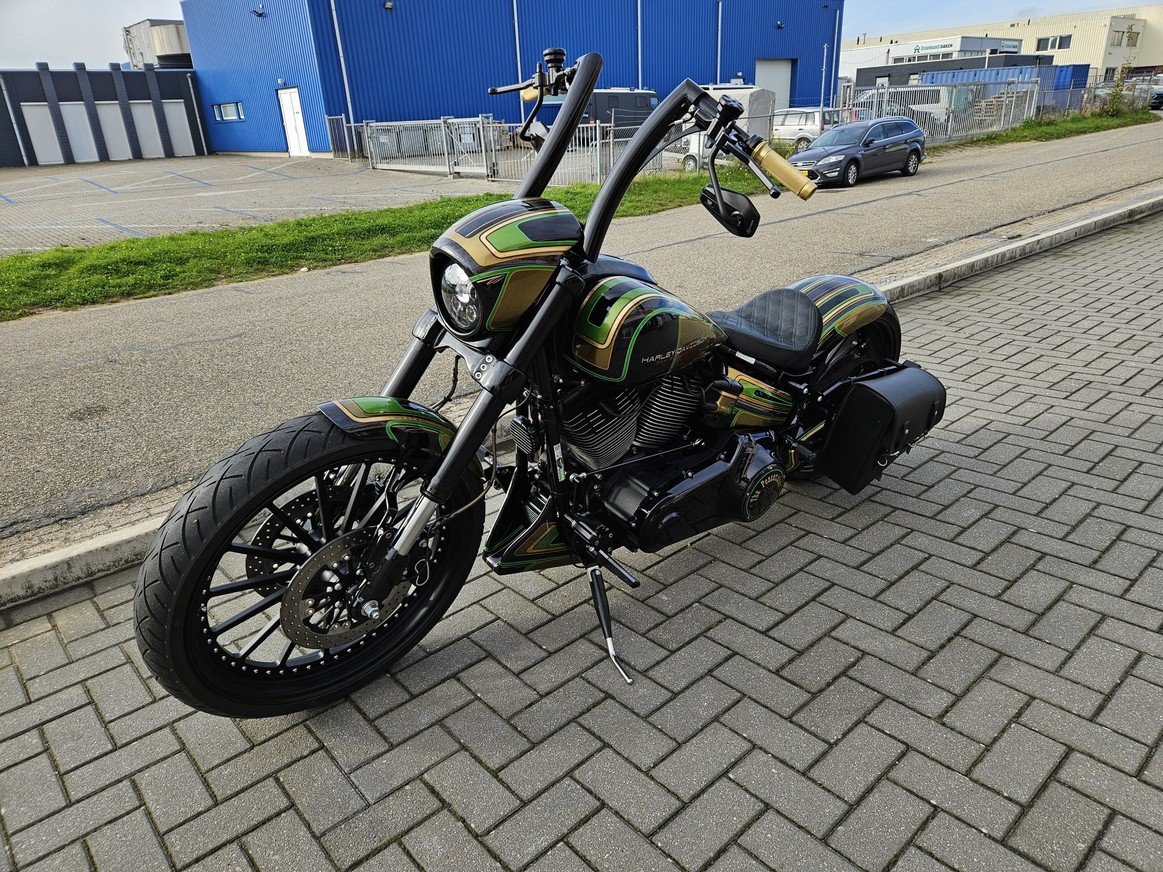 HARLEY-DAVIDSON - FXSBSE Break Out CVO