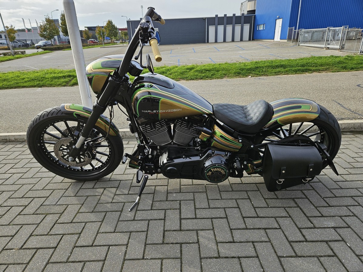 HARLEY-DAVIDSON - FXSBSE Break Out CVO