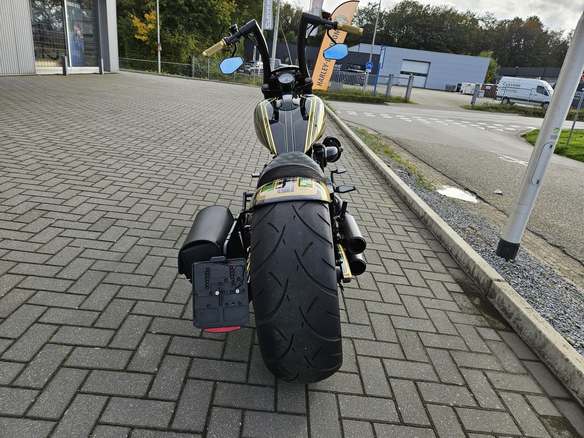 HARLEY-DAVIDSON - FXSBSE Break Out CVO