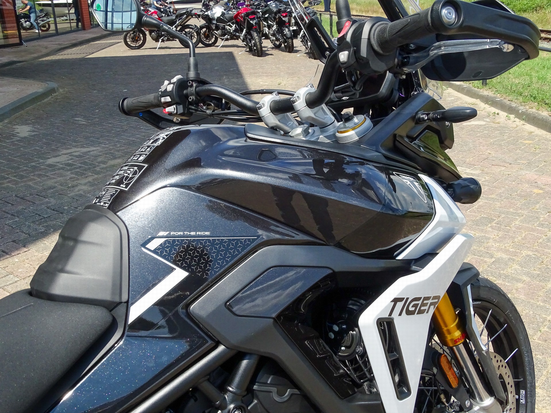 TRIUMPH TIGER 900 RALLY PRO