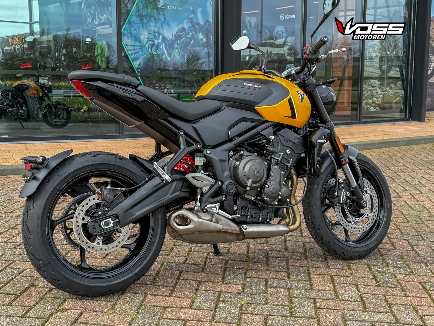 TRIUMPH TRIDENT 660