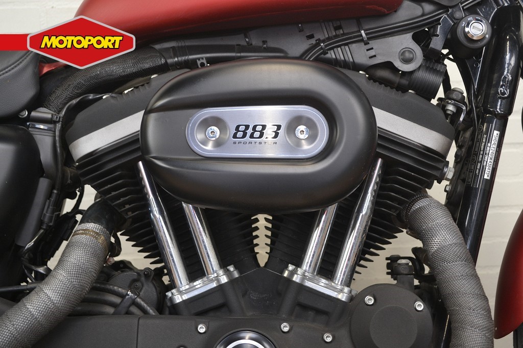 HARLEY-DAVIDSON - XL 883 IRON