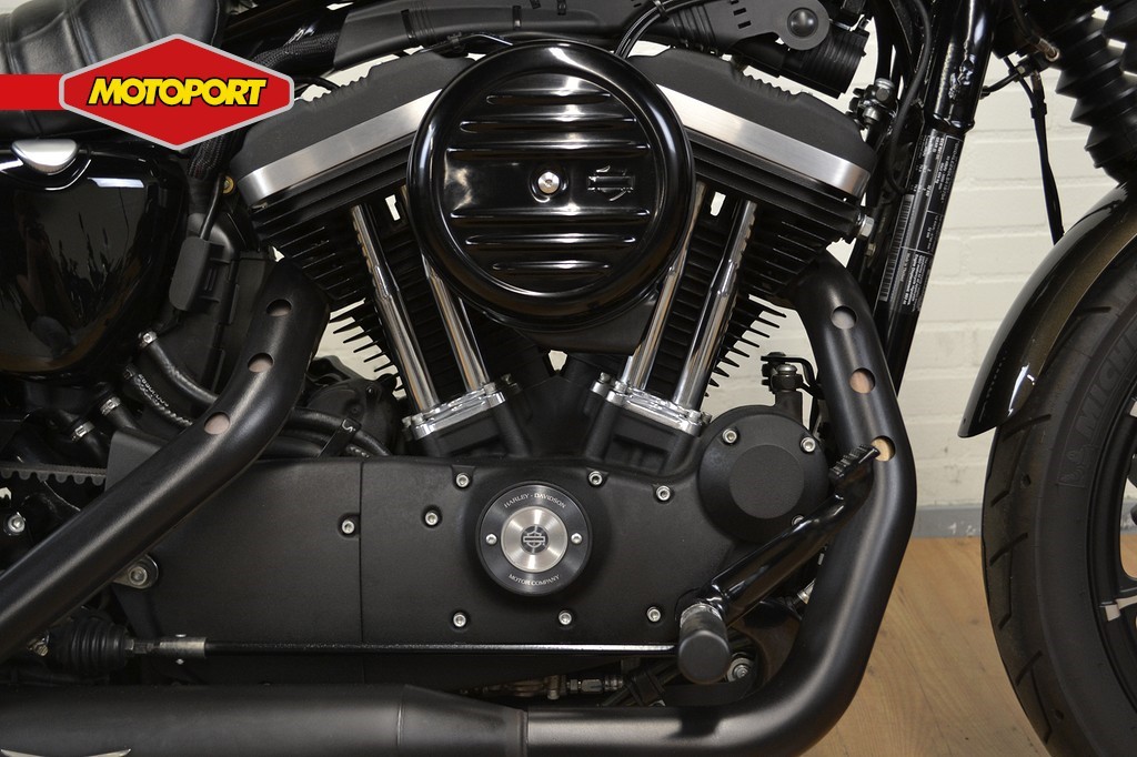 HARLEY-DAVIDSON - XL 883 IRON