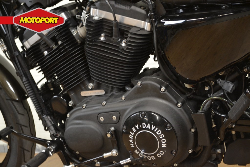 HARLEY-DAVIDSON - XL 883 IRON