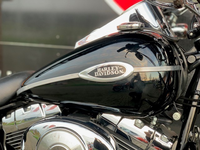 HARLEY-DAVIDSON - FLSTSC SPRINGER FLSTS FXSTS