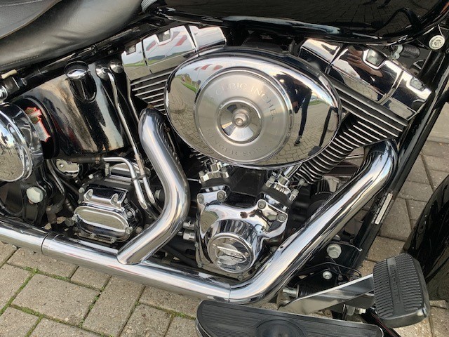 HARLEY-DAVIDSON - FLSTSC SPRINGER FLSTS FXSTS