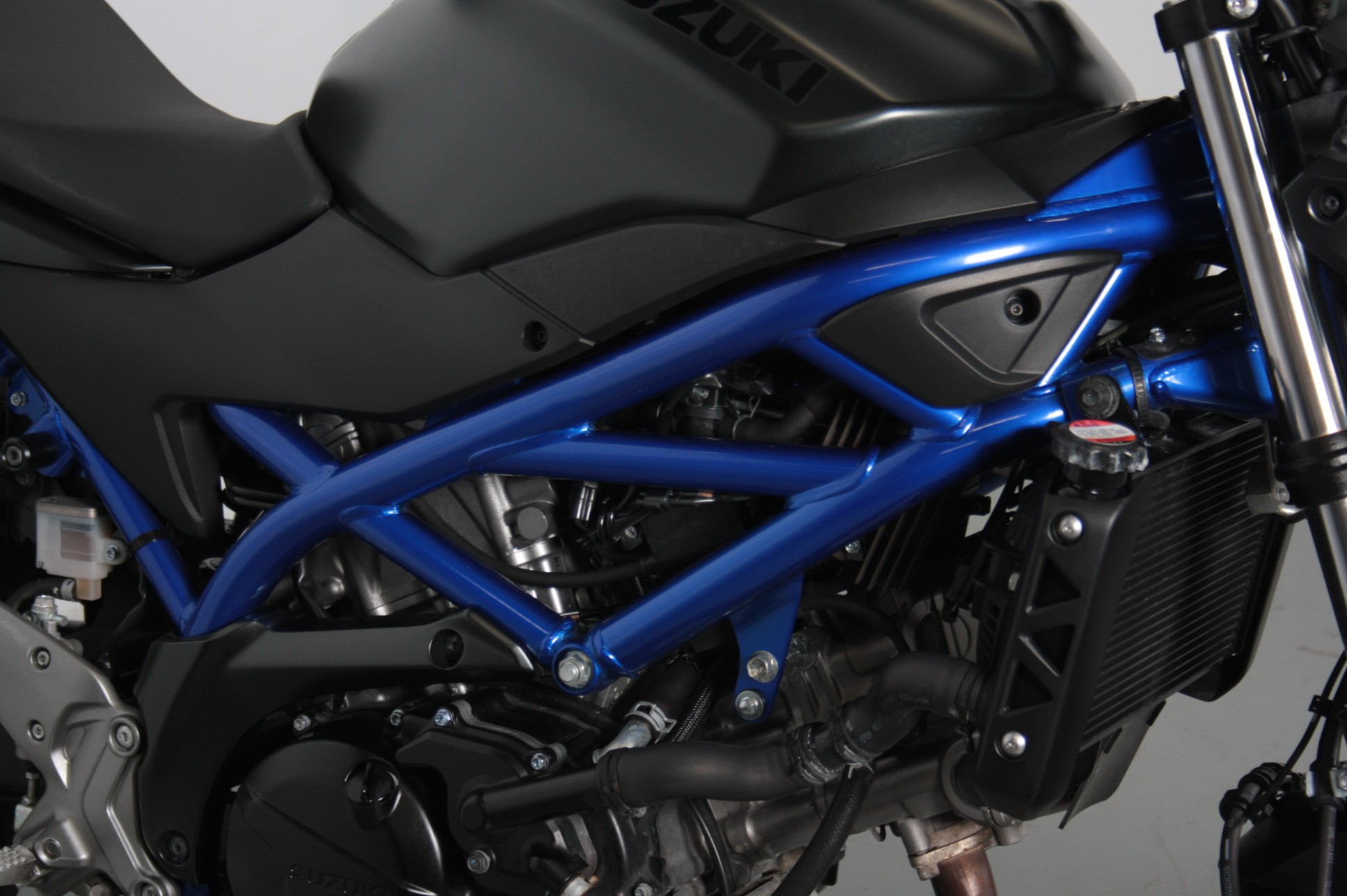 SUZUKI - SV650 Suzuki SV650 2024