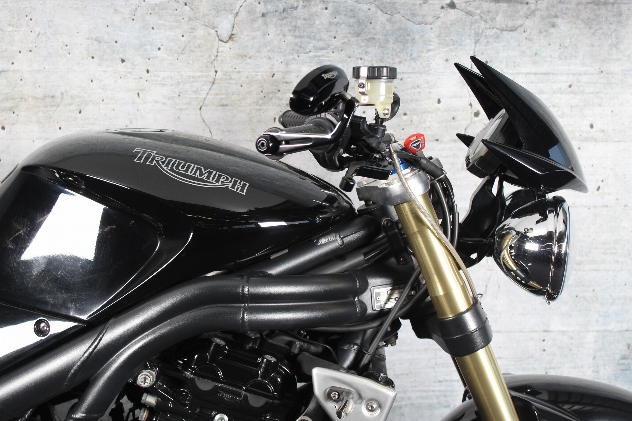 TRIUMPH Speed Triple 1050