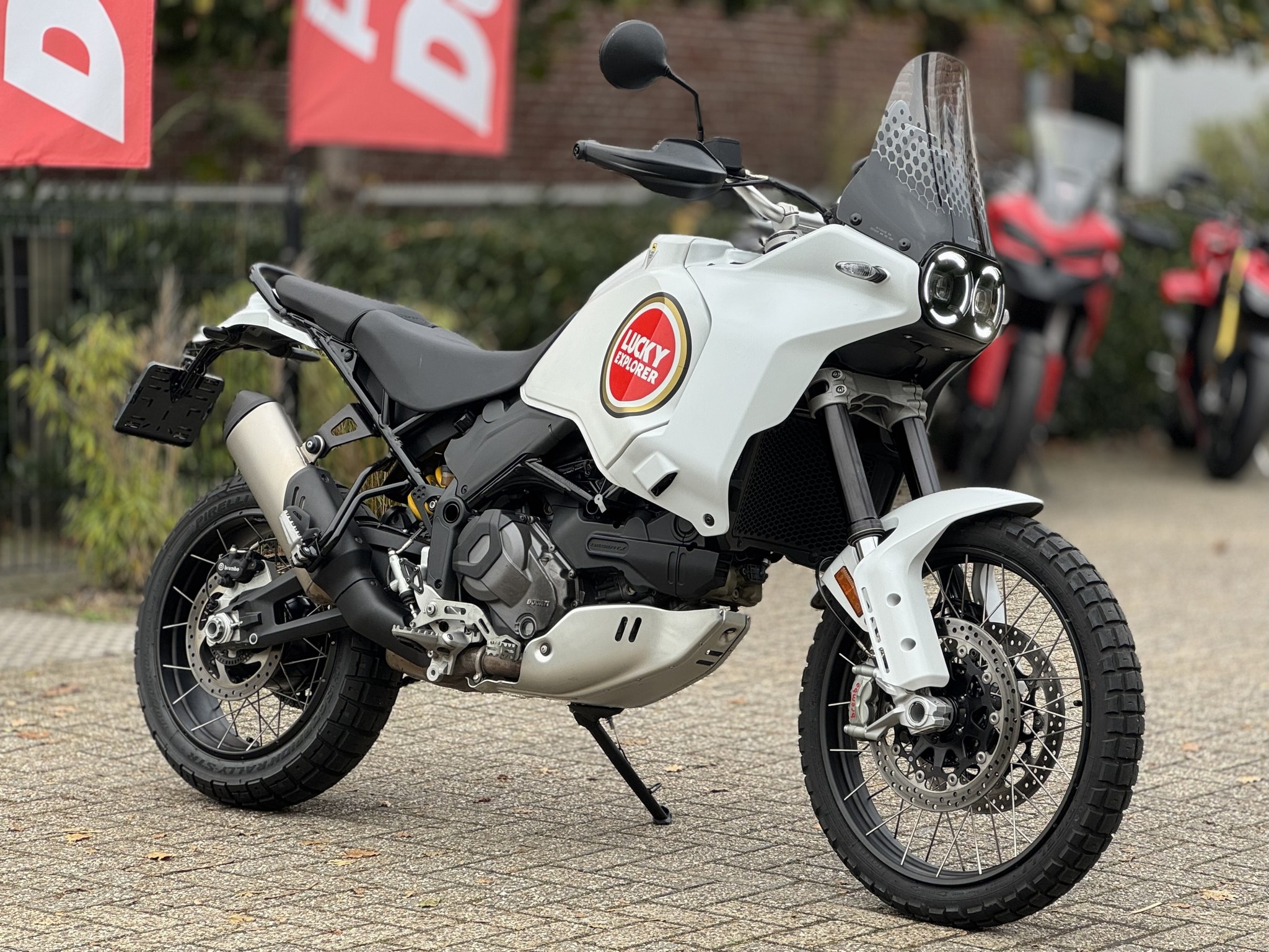 DUCATI Desert X White