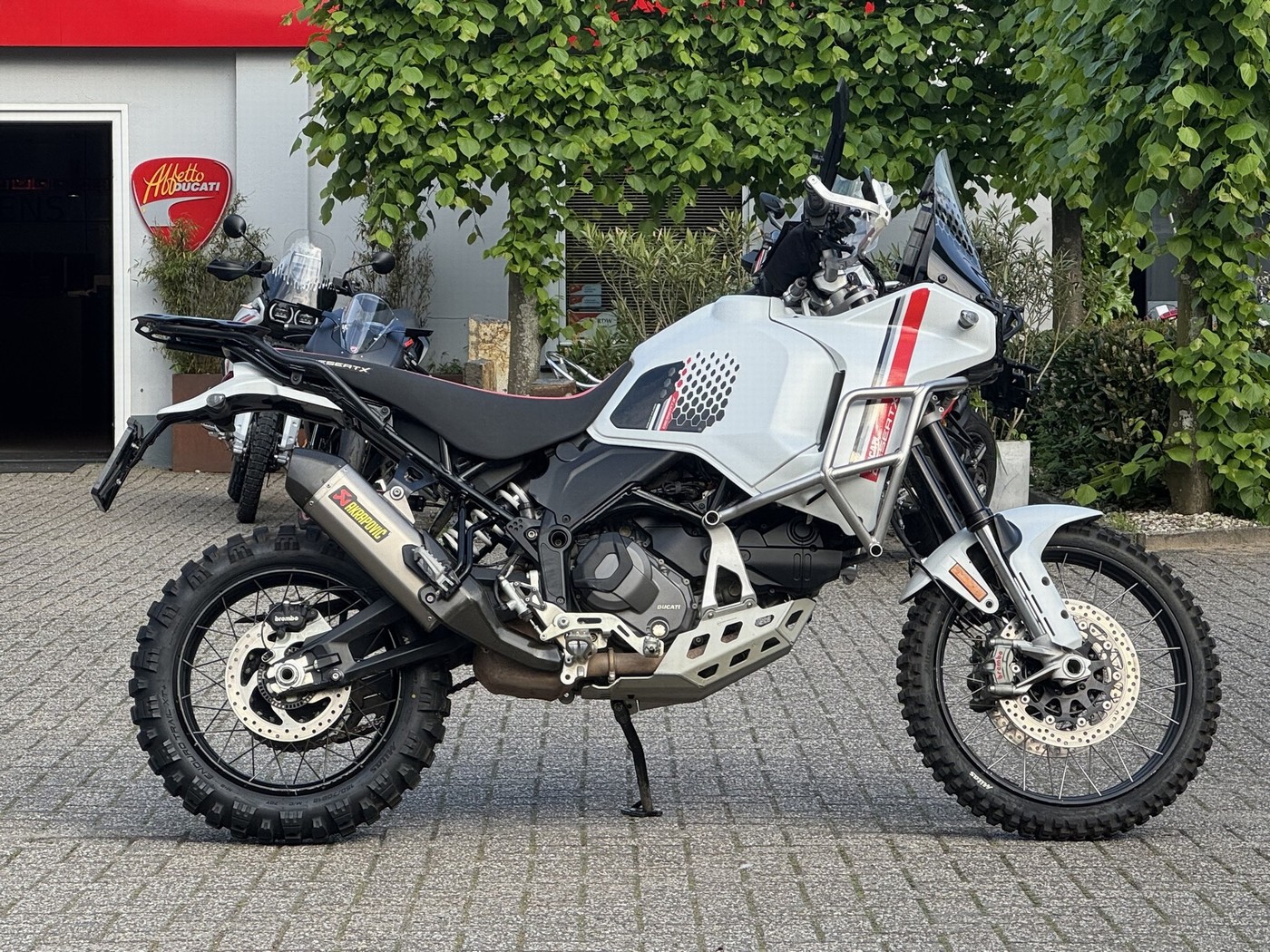 DUCATI Desert X White